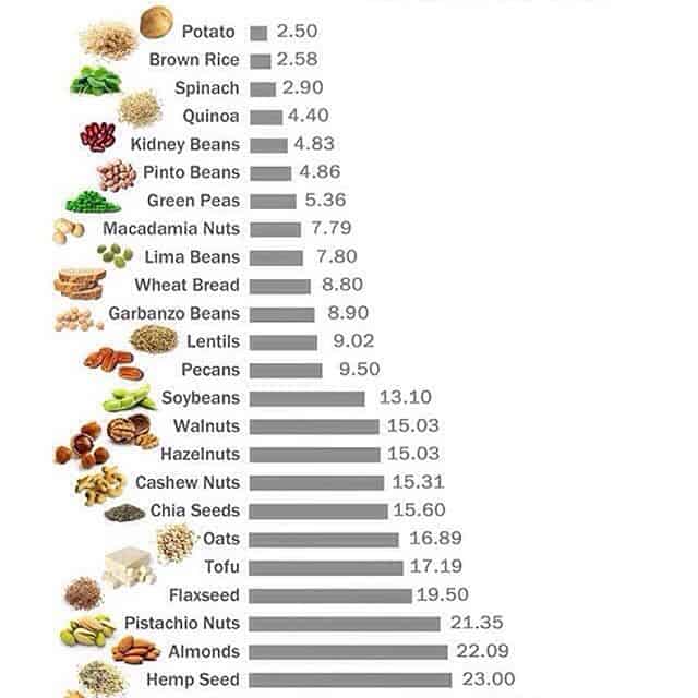 Can Vegans Get Enough Protein? - Plants For Fuel